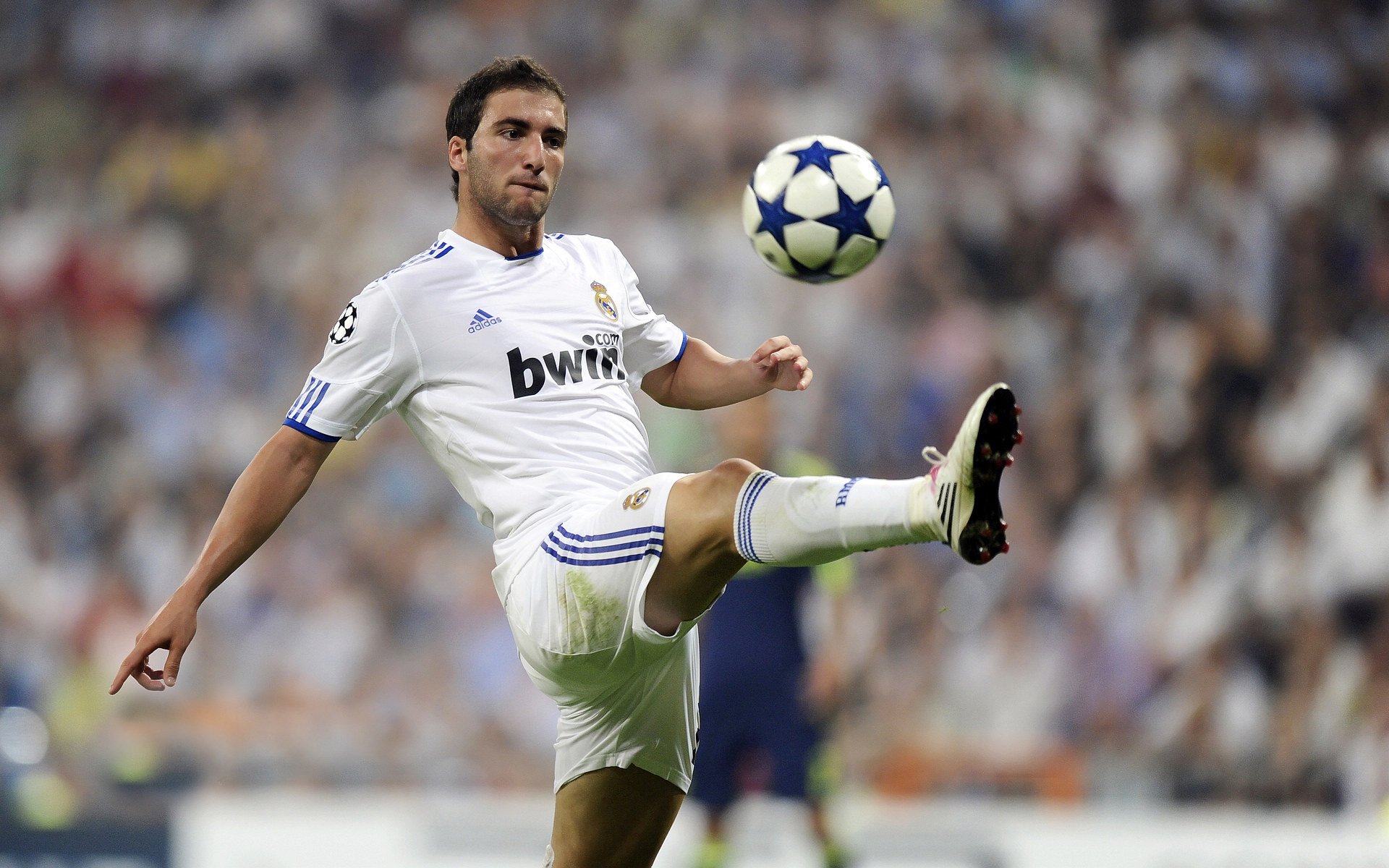 游泳动作与国际顶级选手同步接轨，游泳系列