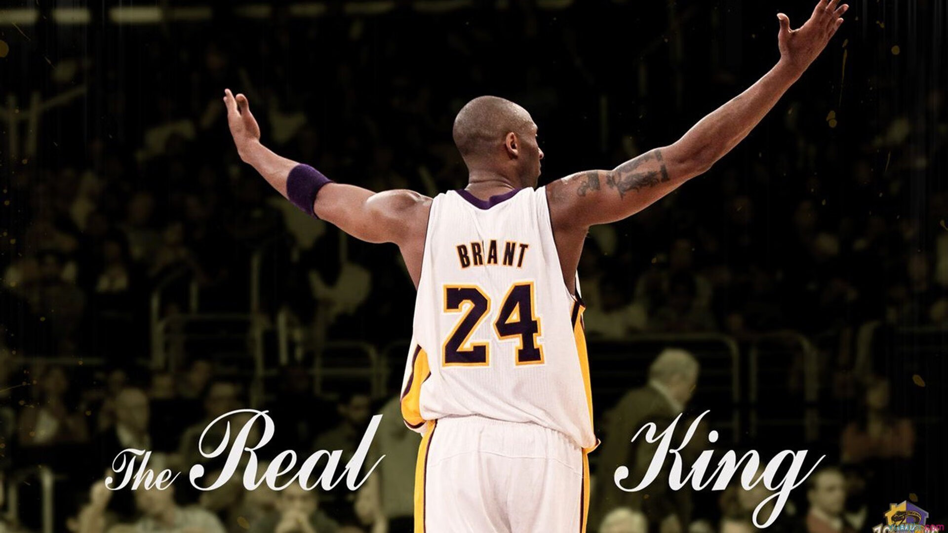 科里·简:用爆发力与迅捷的跑动冲破防线,展示无与伦比的边锋技艺