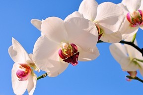 开云体育开云-全国青少年“篮球+创新科技”大赛在北京火热举行，推动行业革新