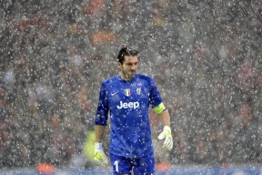 开云体育全站-体育新闻中心球迷声音集锦，球迷轶事