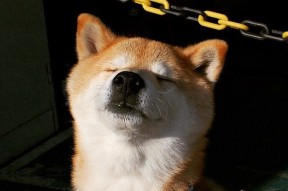 开云全站-【自动判决系统】挥杆瞬间由科技“定夺”，未来已来？，自动裁判