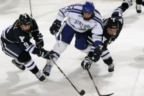 kaiyun.com-希腊男篮在欧洲锦标赛中再次夺冠，成为历史上的传奇强队，希腊男篮2021